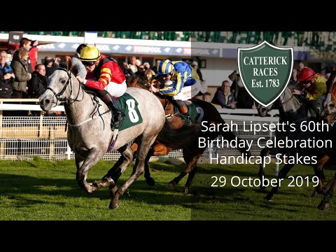 ZIP Wins the Feature Race at Catterick's Flat Finale | 29th October