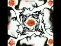 4 - Red Hot Chili Peppers - Funky Monks (320 kbps ...