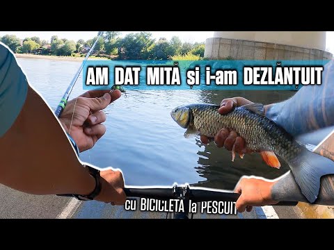 PREA MULT PESTE ... am PESCUIT in ORAS. Am dat MITA ca sa-i PRIND!!