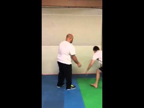 Internal Wing Chun Punching