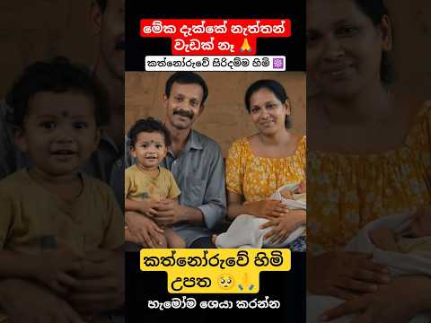 කත්නෝරුවේ සිරිදම්ම හිමි උපත 🙏🥺☸️ #kathnoruwe
