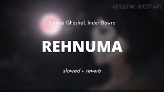 rehnuma (slowed+reverb)  Shreya Ghoshal Inder Bawr