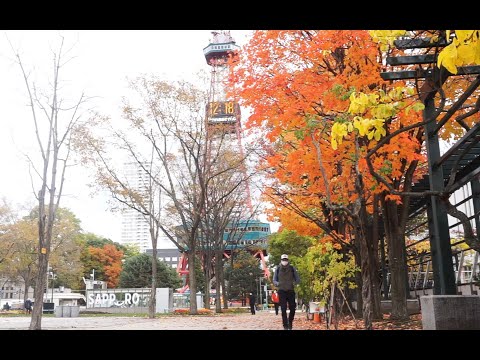 Walk around  - Autumn in Sapporo