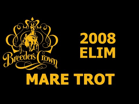 2008 Breeders Crown Elim - Brigham Dream - Mare Trot