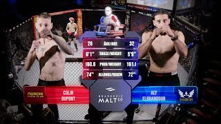 Dupont vs Elghandour