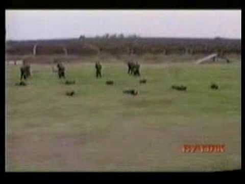 Arkans Tigers....Very Impressive!