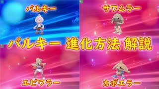 カポエラー ポケットモンスター ポリゴンz バンバドロ ムウマ