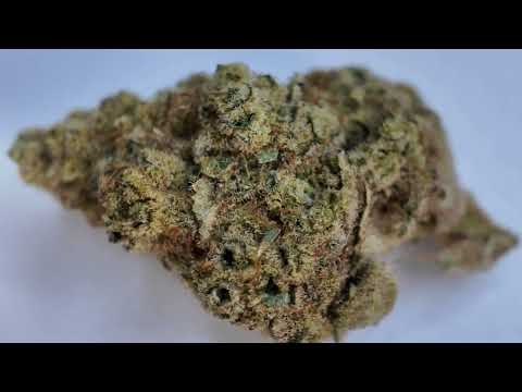 Bepainfreeglobal Review