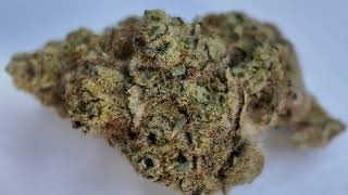 UK MEDICAL 🍁 / strain review / IPS MG T25 Mango Grove