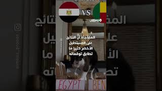 بفيديوهات قصيرة ووعاءي طعام.. القط "نيمبوس" يتحول إلى ظاهرة توقعات تثير الدهشة والجدل thumbnail