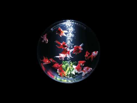 [FREE] Deen Burbigo x Alpha Wann x La Fève Type Beat : " Bocal " (prod by @yᴀng)