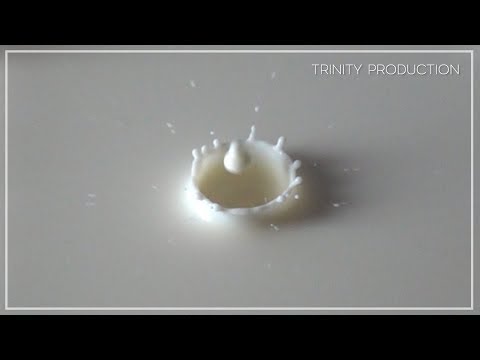 Maudy Ayunda & Teddy Adhitya - We Don't (Still Water) | Official Lyric Video