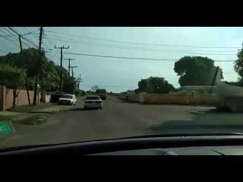 RAPHAEL - Stalk of Weed (soon to be released)