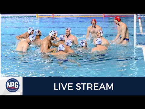 VK NBG - VK Radnicki 20:00,  3.11.2024.