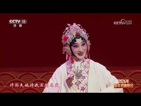 [2026年新年戏曲晚会]京剧新秀联唱 表演：张兰 吕耀瑶 等 | 中华戏韵
