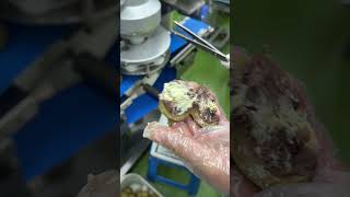 크림앙금 찹쌀떡 2중 포항성형기