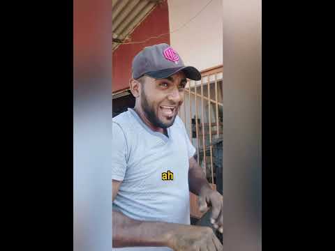 quando vc esta de ressaca mais tem que trabalhar no outro dia 😏😏🤦😞😅😂 #humor #comedia