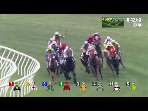 22/5/2022 (683) Bundle Of Charm - J Moreira