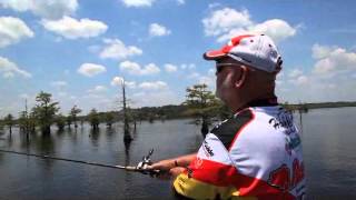 Sportsman's Paradise