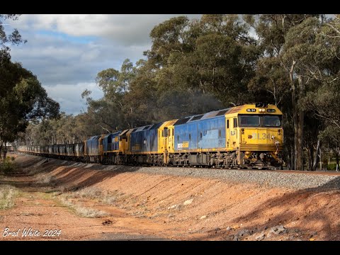 Trackside: BL34, G531, XR558 and BL29 at Llanelly on 9148 PN Grain- 17/8/24