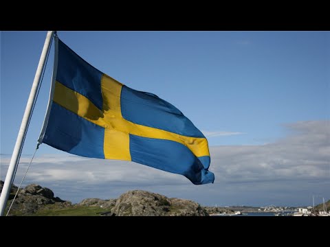 Håll Fanan Högt (Hold the Flag High) (SV / EN) Lyrics