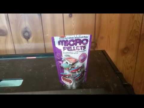 Hikari tropical micro pellets product review