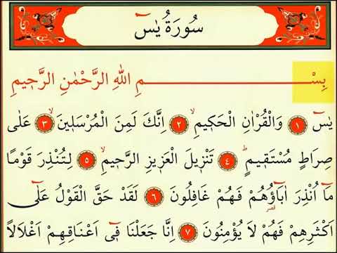 Surja Jasin | Lexo Kur’an