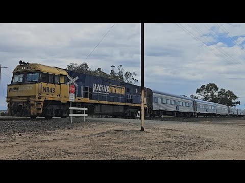 5AM8 up JBRE The Overland (NR43, 6V), Adelaide to Melbourne, 1303, 16/10/25, Dimboola West VIC 
