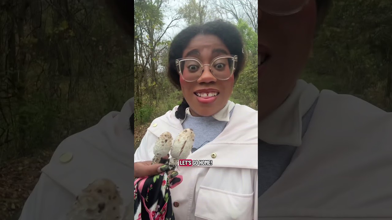 Melting Mushrooms! 🍄 (Shaggy Mane! It’s Edible!)
