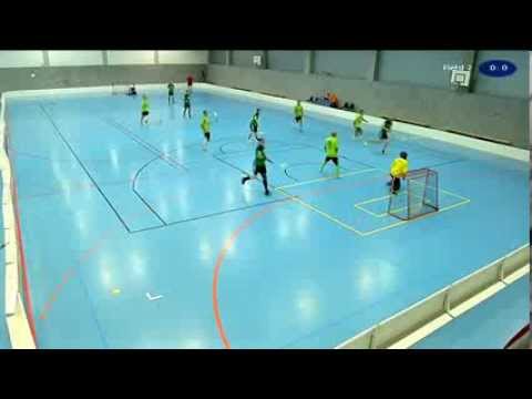 IFC Dresden 2013: SK Veixmes - USV Saalebiber Halle