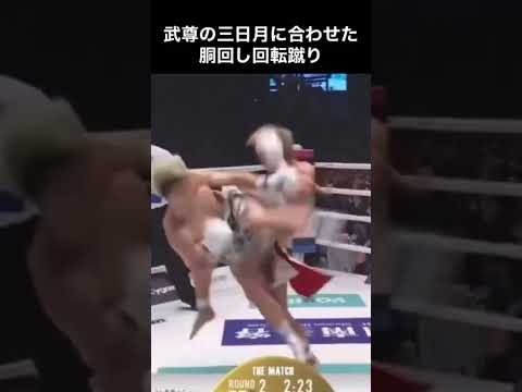 那須川天心vs武尊　胴回し回転蹴り