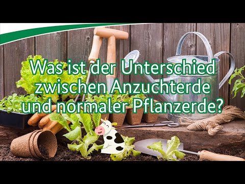 Was ist der Unterschied zwischen Anzuchterde und normaler Pflanzerde?