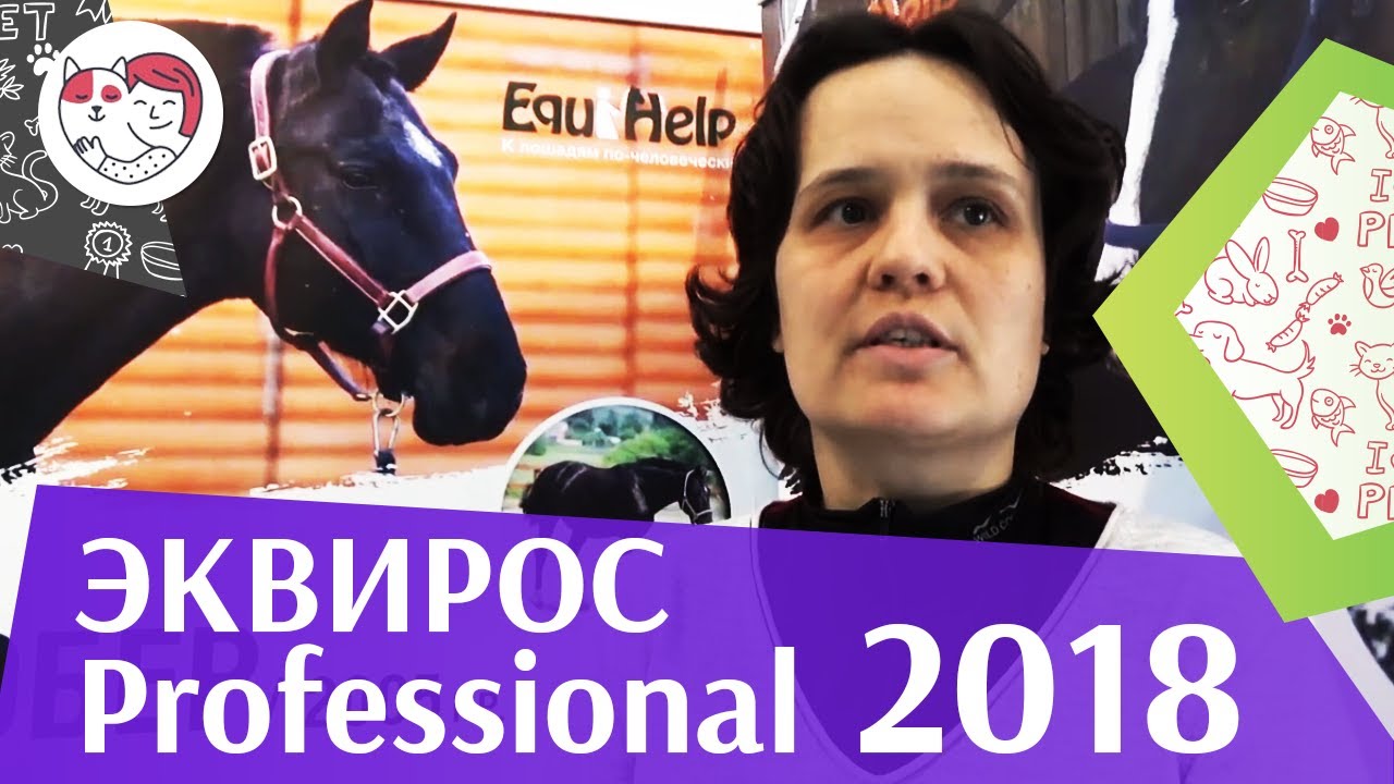 Эквирос Professional 2018 на ilikepet