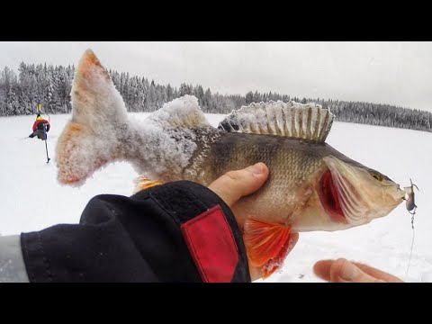 PILKKIHOMMIA PIENELLÄ JÄRVELLÄ