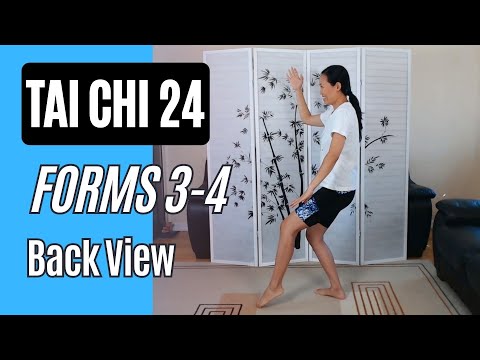 Tai Chi 24, Forms 3-4 White Crane & Brush Knee Back View with Instructions