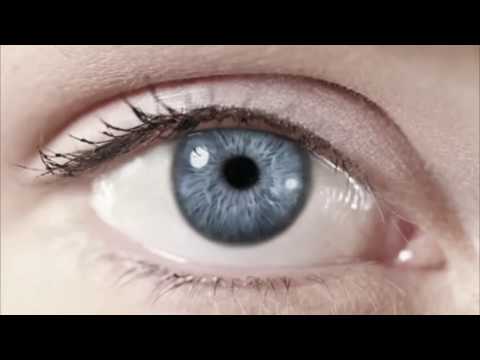 Stereo Underground   Flashes Feat Sealine Official Video