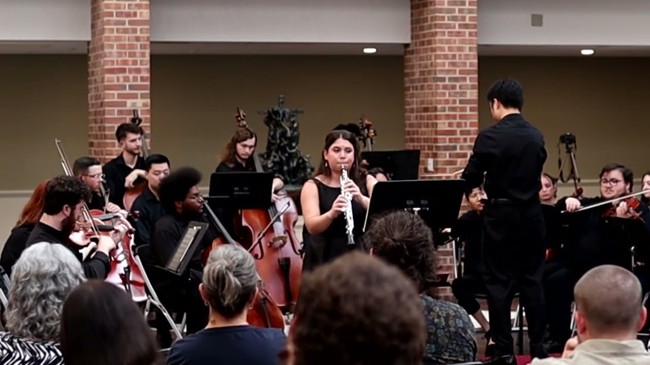 Promotional video thumbnail 1 for Amie Reardon- Multi-Instrumentalist