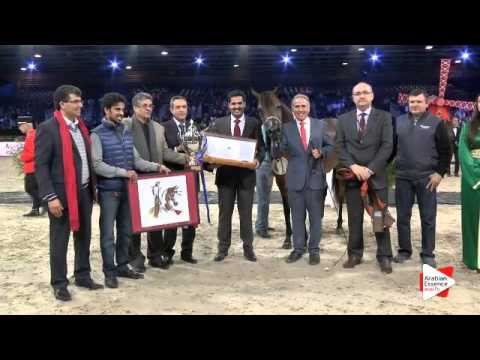 2nd place-N.63 ABHA QALAMS - Paris 2015 - Senior Females Championship (Class CM9)