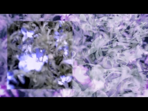 Video thumbnail for Junkmail