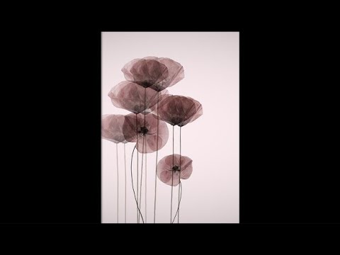 [FREE] 6lack x Bryson Tiller Type Beat - ‘Emptyness’ TRAP RnB INSTRUMENTAL