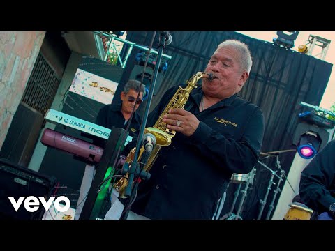 Los Zemvers - Ansias de Amarte (Versión 2022)