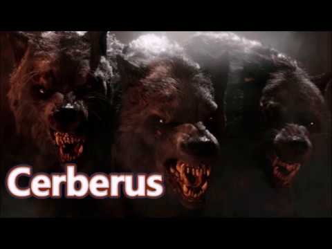 Cerberus Death Dog 44