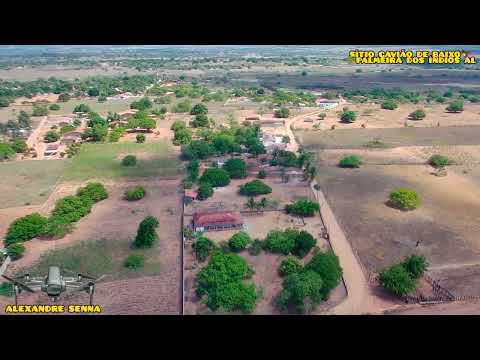 🤩💯DIVISA DE PALMEIRA E IGACI SITIO GAVIÃO🦅DE BAIXO PALMEIRA DOS ÍNDIOS AL 🚴💯 🚴😍IMAGENS SJRC F22S PRÓ