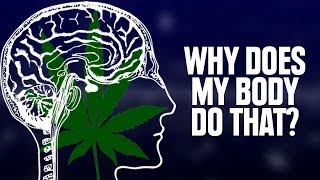 Why Does My Body Do That On Weed?