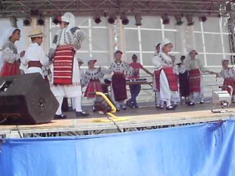 Ansamblul Doina Mischiului