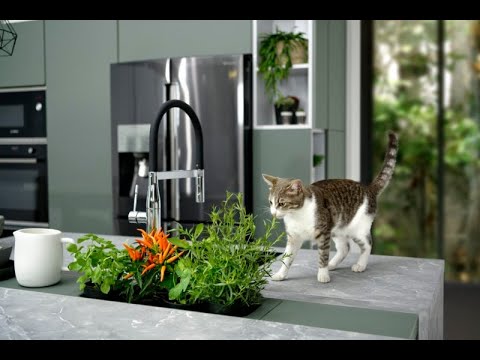 Schmidt Kitchens Twickenham video.