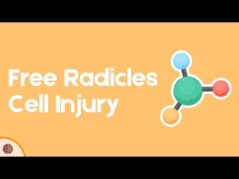 Free Radical-Mediated Cell Injury: Mechanisms and Pathology Explained