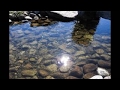 Barbara Bonney Geoffrey Parsons Auf dem Wasser zu singen Franz Schubert