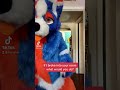 Thomas Hate Furry