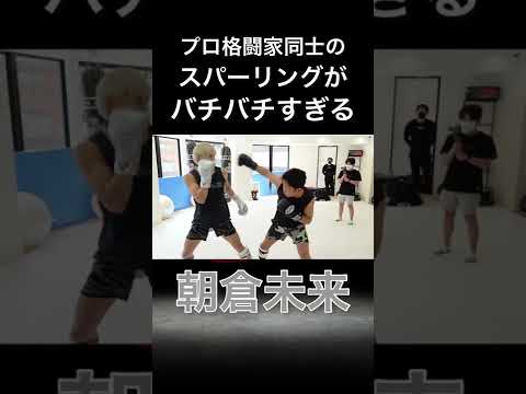 【朝倉未来】現役K-1王者との激し過ぎるスパーリング【切り抜き】